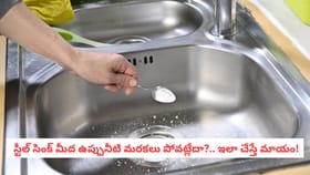 స్టీల్ సింక్ మీద ఉప్పునీటి మరకలు పోవట్లేదా?.. ఇలా చేస్తే మాయం!