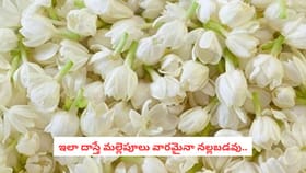 ఇలా దాస్తే మల్లెపూలు వారమైనా నల్లబడవు..