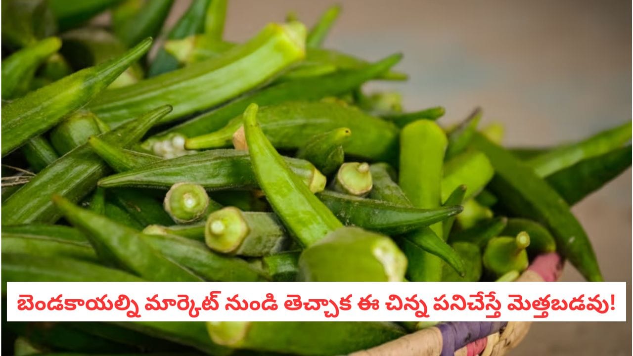 Kitchen Hacks: బెండకాయలు త్వరగా మురిగిపోతున్నాయా?.. నెల రోజుల పాటు జిగురు లేకుండా ఫ్రెష్‌గా ఉంచే అద్భుతమైన ట్రిక్స్ ఇవే!