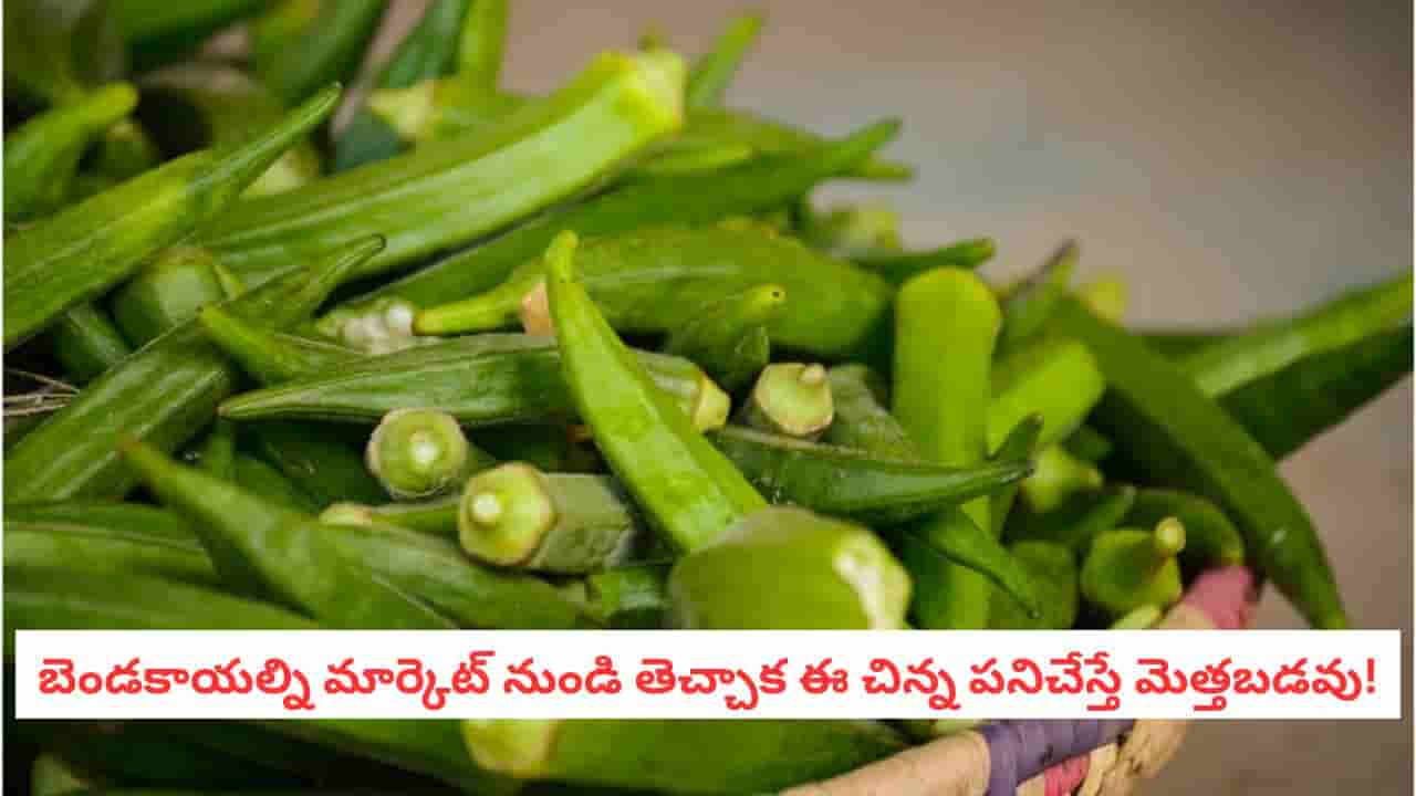 Kitchen Hacks: బెండకాయలు త్వరగా మురిగిపోతున్నాయా?.. నెల రోజుల పాటు జిగురు లేకుండా ఫ్రెష్గా ఉంచే అద్భుతమైన ట్రిక్స్ ఇవే!