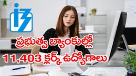 ప్రభుత్వ బ్యాంకుల్లో 11,403 Clerk ఉద్యోగాలకు IBPS నోటిఫికేషన్