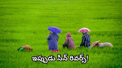 మాన్‌సూన్ దెబ్బకు రైతుల్లో టెన్షన్.. ఇప్పుడు సీన్ మారింది! ఖరీఫ్‌