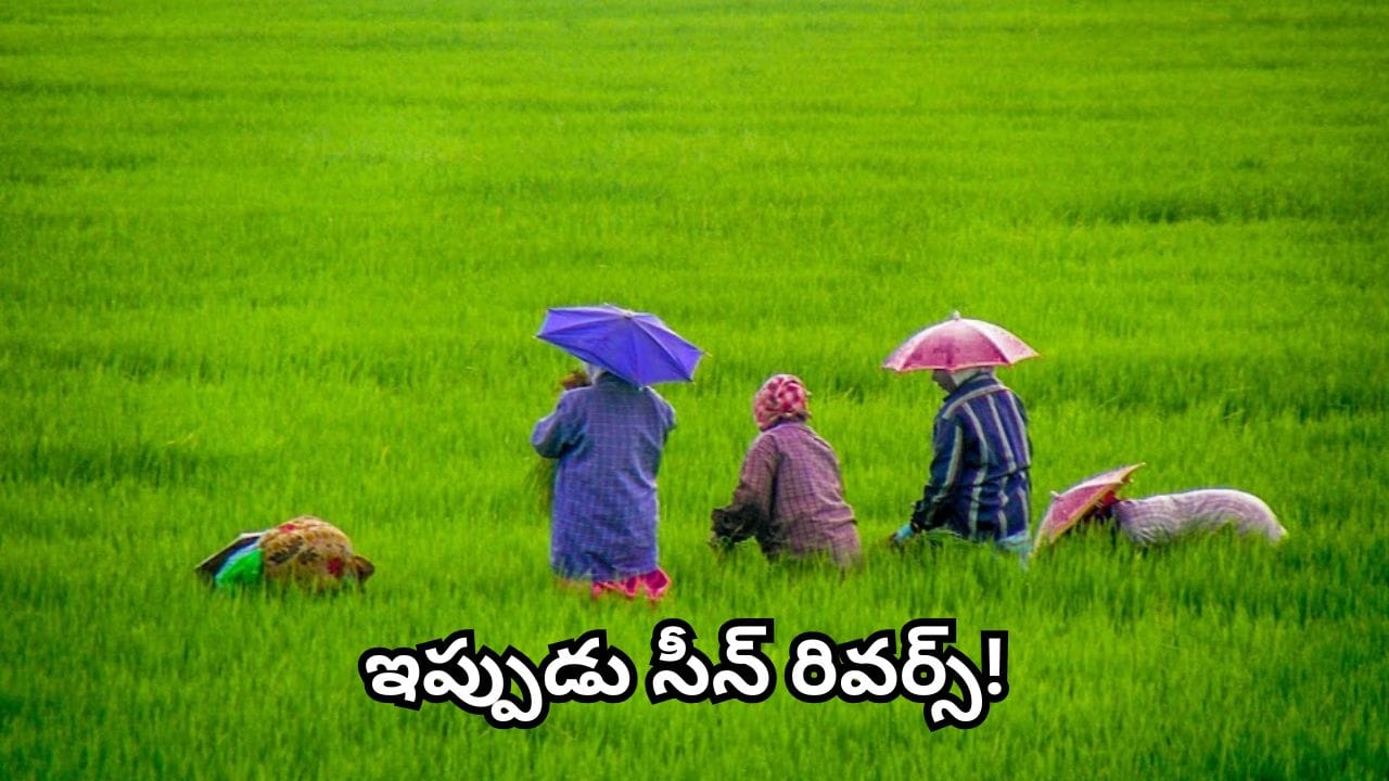 మాన్సూన్ దెబ్బకు రైతుల్లో టెన్షన్.. ఇప్పుడు సీన్ మారింది! ఖరీఫ్పై మాక్వైరీ గుడ్ న్యూస్