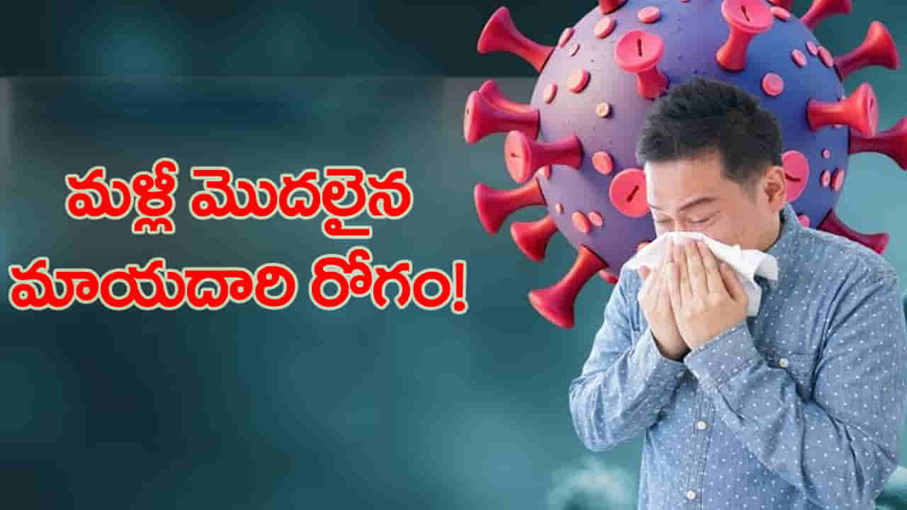 వామ్మో.. మళ్లీ మొదలైంది..! విజృంభిస్తున్న స్వైన్ ఫ్లూ.. ఆ లక్షణాలు కనిపిస్తే నిర్లక్ష్యం వద్దు!