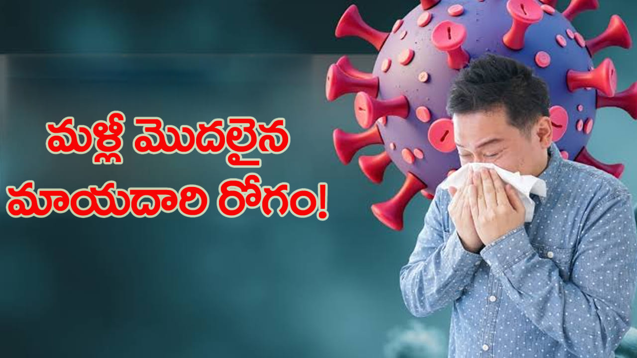వామ్మో.. మళ్లీ మొదలైంది..! విజృంభిస్తున్న స్వైన్ ఫ్లూ.. ఆ లక్షణాలు కనిపిస్తే నిర్లక్ష్యం వద్దు!