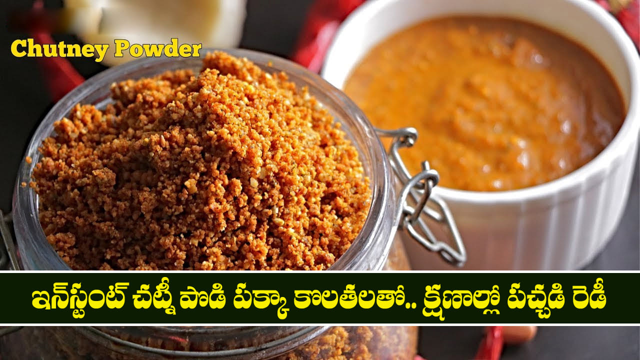 Instant Chutney Powder: ఇన్‌స్టంట్ చట్నీ పొడి పక్కా కొలతలతో.. క్షణాల్లో పచ్చడి రెడీ