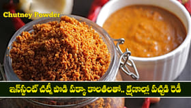 ఇన్‌స్టంట్ చట్నీ పొడి పక్కా కొలతలతో.. క్షణాల్లో పచ్చడి రెడీ