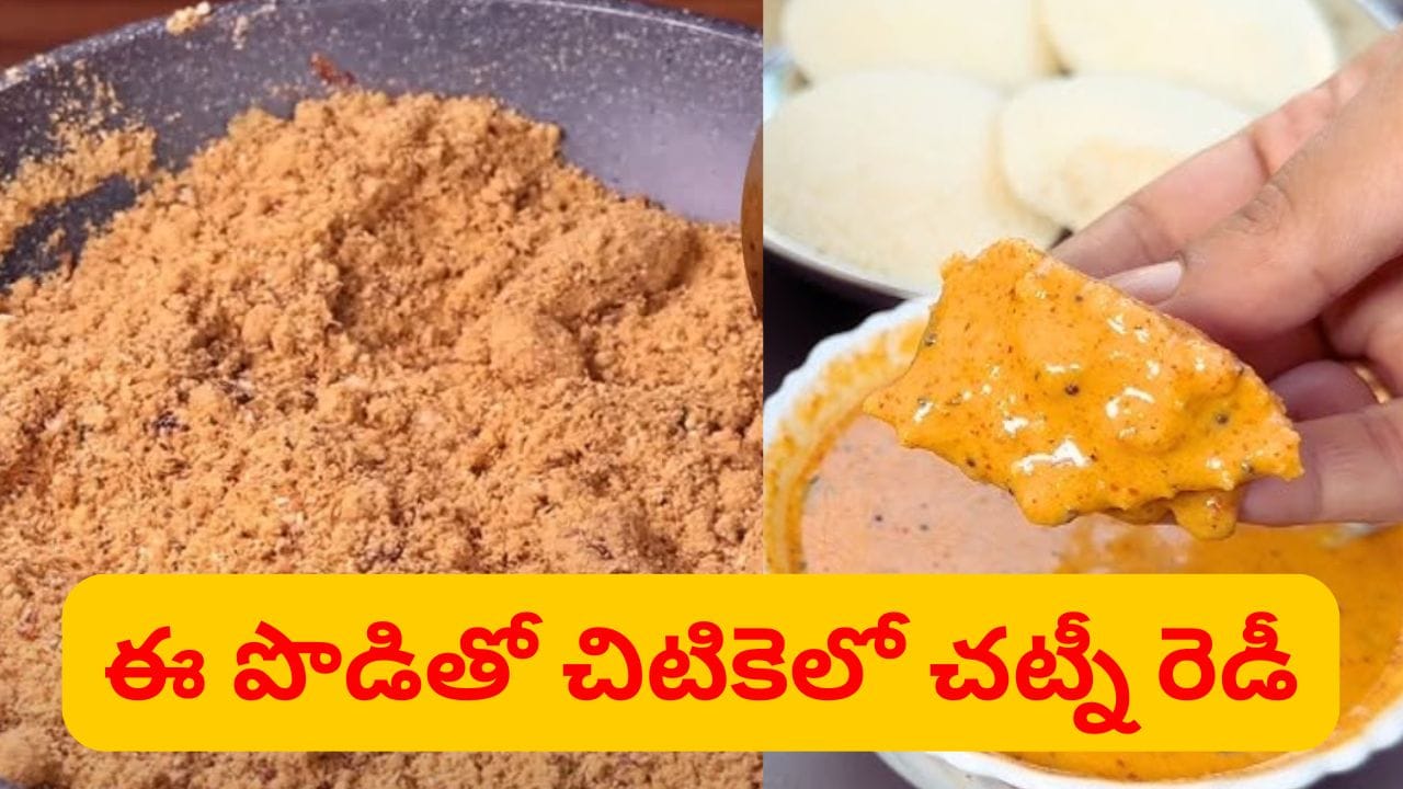 ఉదయాన్నే ఇంటి పనితో ఇబ్బందా.. నో వర్రీ.. ఇలా చేస్తే చిటికెలో టేస్టీ చట్నీ..