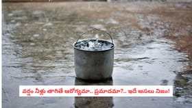 వర్షం నీళ్లు తాగితే ఆరోగ్యమా.. ప్రమాదమా?.. ఇదే అసలు నిజం!