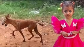 కాకినాడ చిన్నారి జాహ్నవి ఇంటికి వచ్చిన కొత్త నేస్తం.. ఎవరో తెలుసా