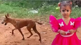 Andhra News: కాకినాడ చిన్నారి జాహ్నవి ఇంటికి వచ్చిన కొత్త నేస్తం.. ఎవరో తెలుసా?