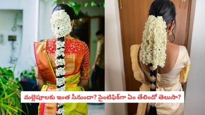 మల్లెపూలకు ఇంత సీనుందా? సైంటిఫిక్‌గా ఏం తేలిందో తెలుసా?