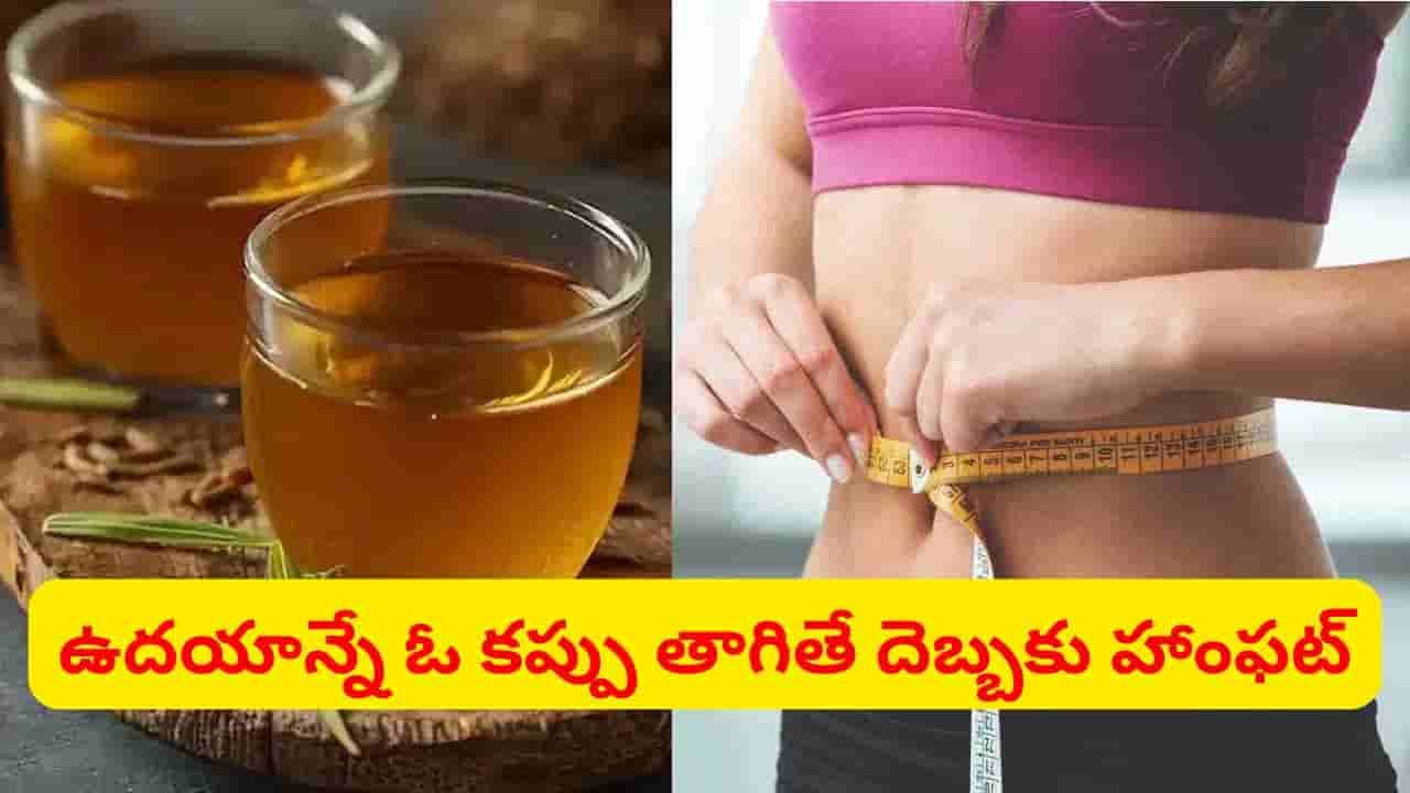 టిఫిన్కు ముందు ఈ మ్యాజిక్ డ్రింక్ తాగండి.. అధిక బరువును, కొవ్వును ఇట్టే కరిగిస్తుంది..