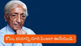 భావోద్వేగాలను ఎలా కంట్రోల్ చేసుకోవాలి? - జిడ్డు కృష్ణమూర్తి