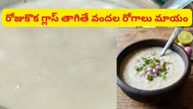 వందల రోగాలను నయం చేసే ఈ అమృతం గురించి తెలుసా..?