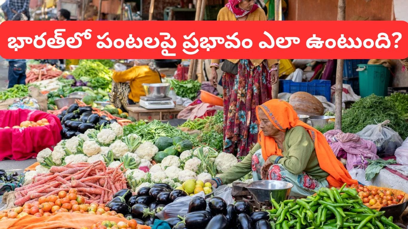 JPMorgan Warning: 2027లో ఆహార ధరలకు రెక్కలు..! ఎరువుల కొరత, ఎల్ నినోతో భారత్కు ముప్పు ఎంత?