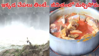 వర్షాకాలంలో తప్పక చూడాల్సిన టూరిస్ట్‌ స్పాట్.. ఒక్కసారి ఇక్కడ చేపలు తింటే రుచి జన్మలో మర్చిపోరు!