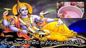 కామికా ఏకాదశి ఎప్పుడు? ఈ వస్తువులు దానం చేస్తే ఐశ్వర్యం, శుభ..