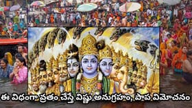 కామిక ఏకాదశి.. ఈ విధంగా వ్రతం చేస్తే విష్ణు అనుగ్రహం, పాప విమోచనం