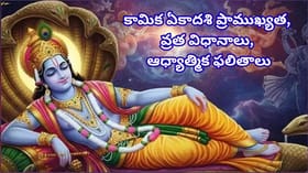 కామిక ఏకాదశి.. కోరికలు నెరవేరాలంటే ఈ రోజు ఇలా చేయండి.. అపారమైన..