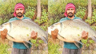 జాక్‌పాట్ అంటే ఇతనిదే.. మత్స్యకారుడి వలకు చిక్కిన రెండు భారీ చేపలు.. డబ్బే డబ్బు!