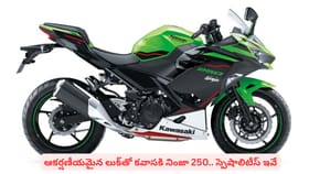 ఆకర్షణీయమైన లుక్‌తో కవాసకి నింజా 250.. స్పెషాలిటీస్‌ ఇవే