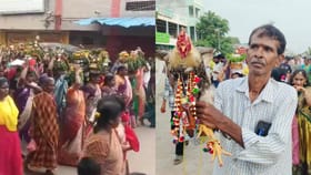 చెవులకు కమ్మలు..మెడలో కోటర్.. ముత్యాలమ్మ కోసం ముస్తాబైన కోడిపుంజు