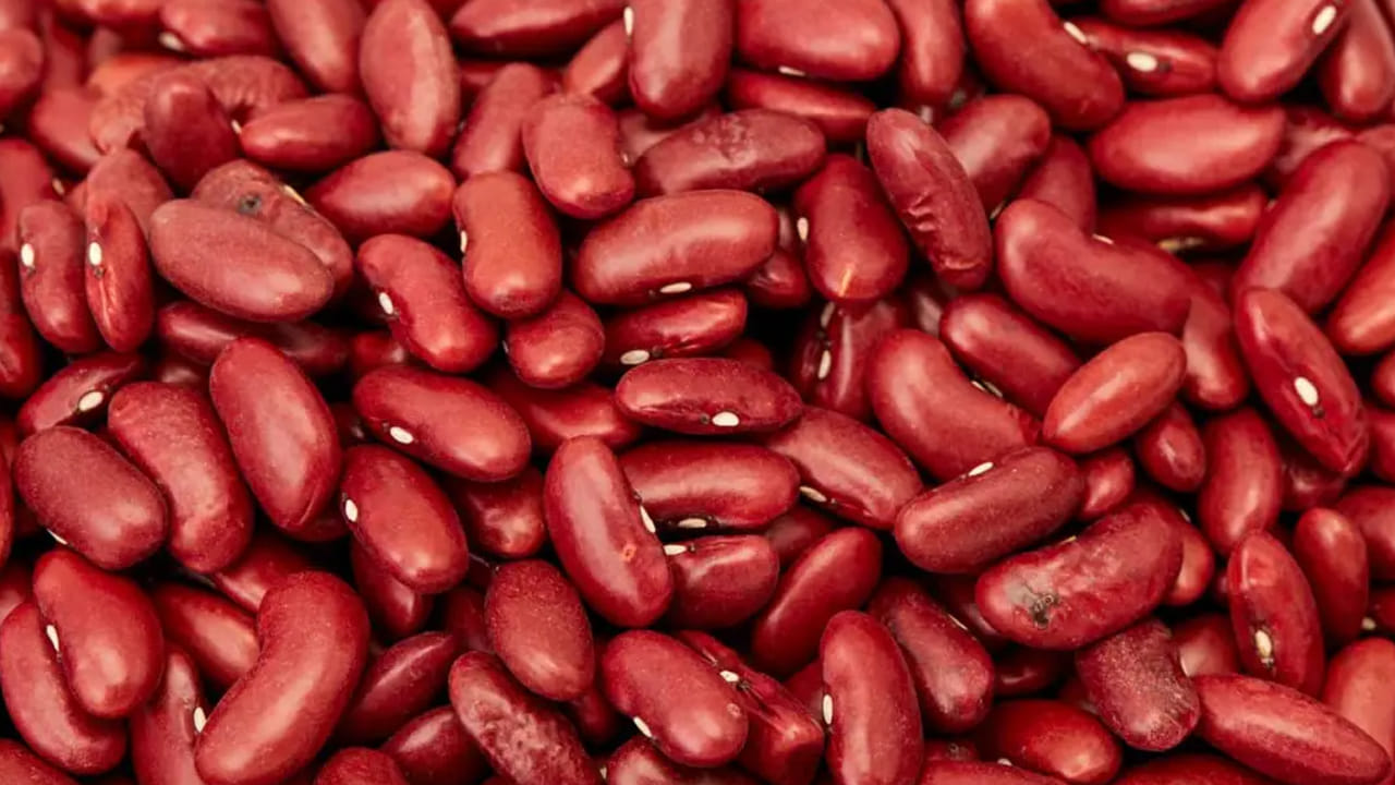 Kidney Beans 1