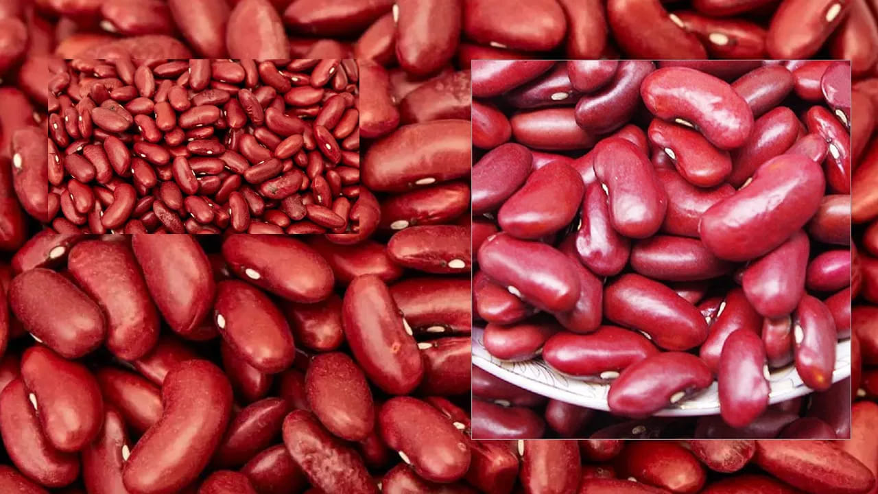 Kidney Beans
