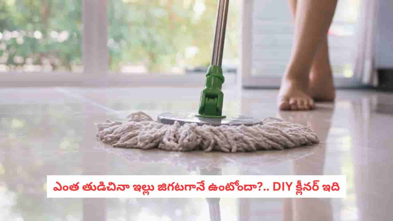 Cleaning Tips: వర్షాకాలం వల్ల మీ ఇల్లు జిగటగా ఉందా? ఈ అద్భుతమైన క్లీనర్లతో ప్రాబ్లం సాల్వ్!