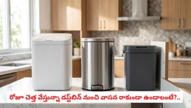 రోజూ చెత్త వేస్తున్నా డస్ట్‌బిన్‌ నుంచి వాసన రాకుండా ఉండాలంటే?..