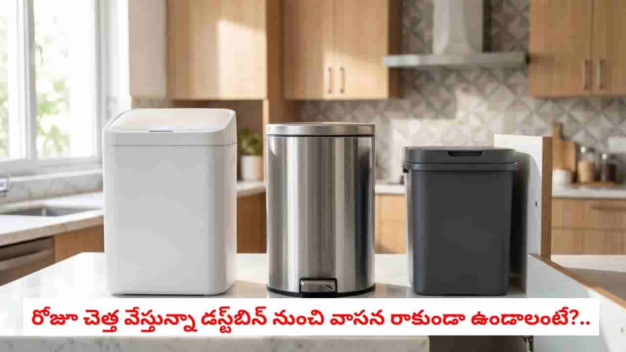 Kitchen Dustbin Cleaning: కిచెన్ డస్ట్బిన్ నుంచి దుర్వాసన వస్తోందా?.. ఈ సింపుల్ ట్రిక్తో ఈజీగా క్లీన్ చేసేయండి!