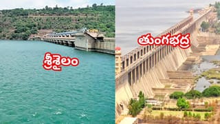 కృష్ణమ్మ పరవళ్లు.. శ్రీశైలం ఆయకట్టు రైతుల్లో కొత్త ఆశలు..!