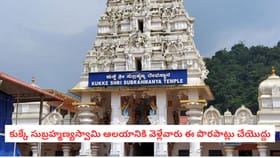 కుక్కే సుబ్రహ్మణ్యస్వామి ఆలయానికి వెళ్లేవారు ఈ పొరపాట్లు చేయొద్దు