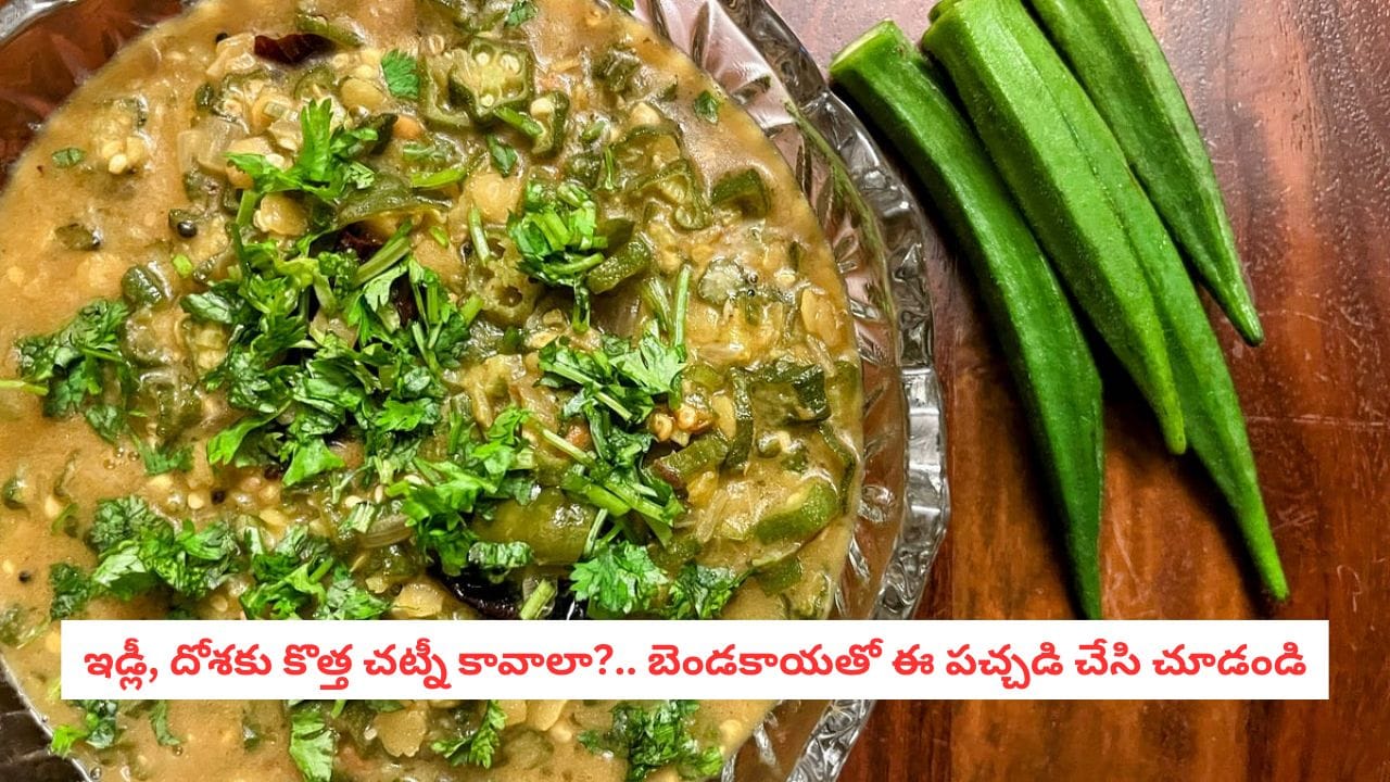 Ladies Finger Recipe: బెండకాయ కూర తినని వాళ్లు కూడా లొట్టలేసుకుని తింటారు.. పచ్చడి ఇలా చేయండి!