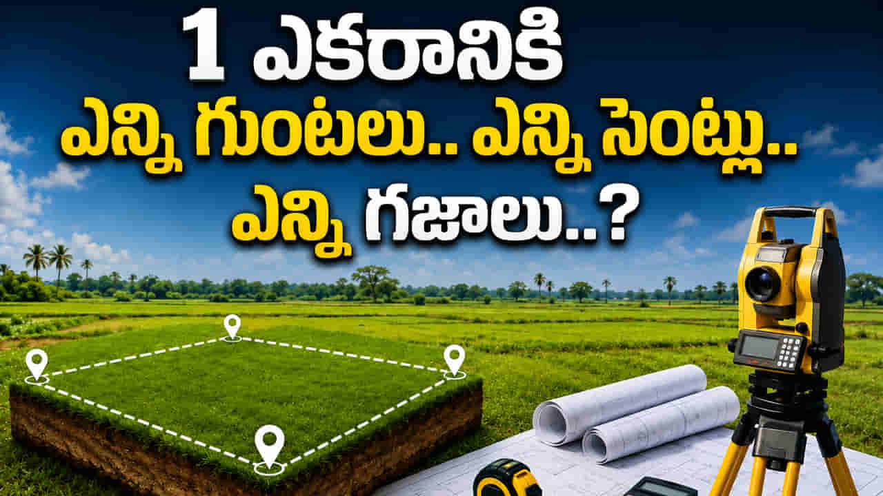 ఒక ఎకరానికి ఎన్ని గుంటలు.. ఎన్ని సెంట్లు.. ఎన్ని గజాలు? ఈ భూమి లెక్కలు తెలుసుకోండి..