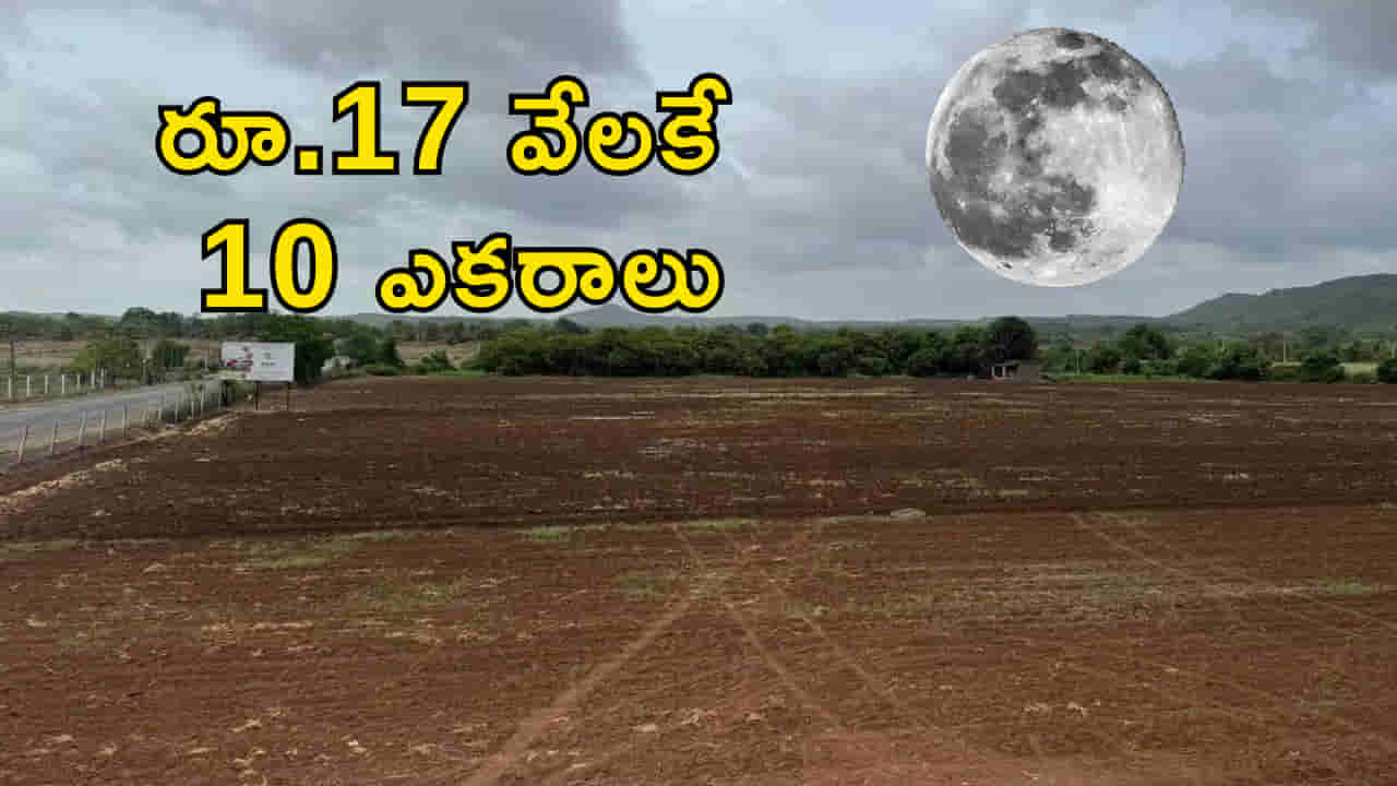 రూ.17 వేలకే 10 ఎకరాలు..! ఎక్కడ, ఎలా కొనాలి? పూర్తి వివరాలు ఇవే