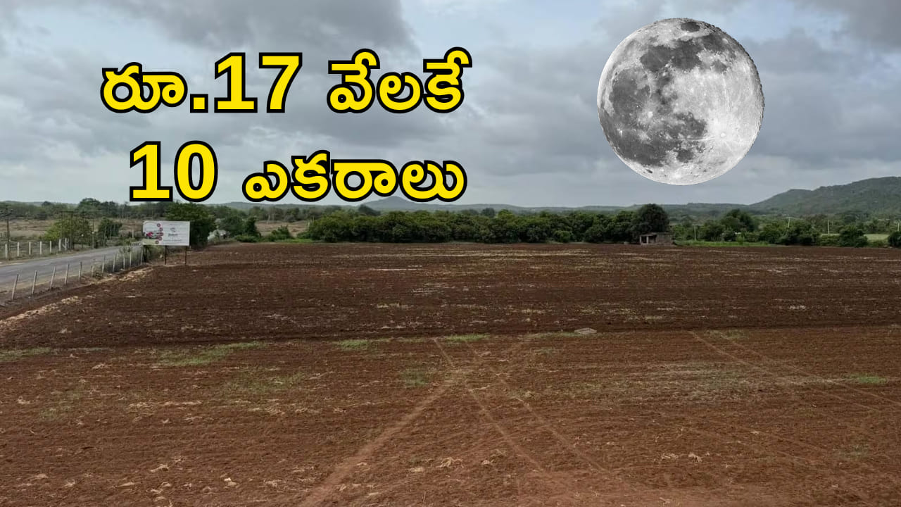 రూ.17 వేలకే 10 ఎకరాలు..! ఎక్కడ, ఎలా కొనాలి? పూర్తి వివరాలు ఇవే