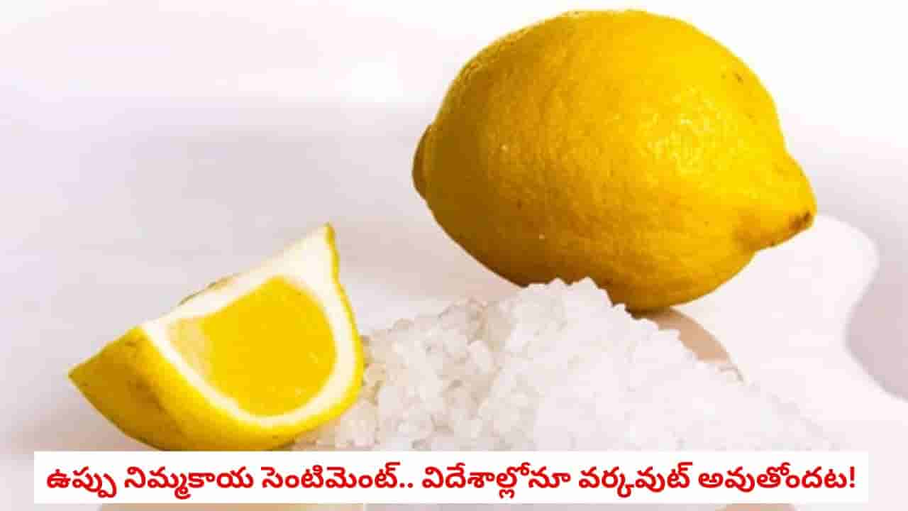 Lemon and Salt Remedy: నిమ్మకాయ-ఉప్పుతో ఈ పని చేస్తున్నారా?.. భారత్లోనే కాదు విదేశాల్లోనూ పాటిస్తున్నారట!