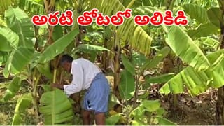 Andhra News: అరటి తోటలో ఏదో అలికిడి.. ఏంటని అడుగు ముందుకేయగా భయానక దృశ్యం!