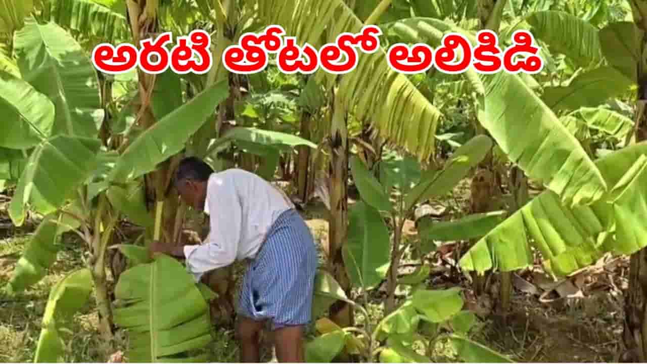 Andhra News: అరటి తోటలో ఏదో అలికిడి.. ఏంటని అడుగు ముందుకేయగా భయానక దృశ్యం!