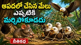 ఆపదలో చేసిన మేలు ఎప్పటికీ మర్చిపోకూడదు.. ఎలుక - డేగ కథ