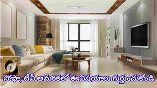 Vastu Tips: లివింగ్ రూమ్‌లో సోఫా, టీవీ ఎక్కడ ఉంచాలి? ఈ దిశల్లో పెడితే ఇంట్లో పాజిటివ్ ఎనర్జీ!