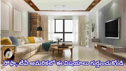 లివింగ్ రూమ్‌లో సోఫా, టీవీ ఎక్కడ ఉంచాలి? ఈ దిశల్లో పెడితే ఇంట్లో