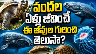 100, 200కాదు.. 500 ఏళ్లకు పైగా బతికే ఈ జీవుల గురించి తెలుసా? ప్రకృతి సృష్టించిన..