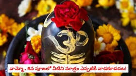 వామ్మో.. శివ పూజలో వీటిని మాత్రం ఎప్పటికీ వాడకూడదట!