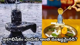 ఇంట్లోనే శివుడికి జలాభిషేకం ఎలా చేయాలి? పూర్తి విధానం, నియమాలు..