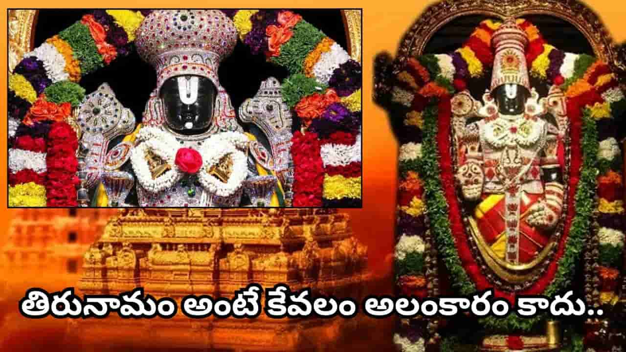 శ్రీవారికి మూడు నామాలు ఎందుకు? తిరుమల వెంకటేశ్వరుడి తిరునామం వెనుక ఉన్న ఆధ్యాత్మిక విశిష్టత ఇదే!