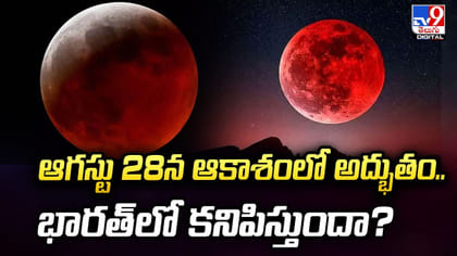 ఆగస్టు 28న ఆకాశంలో అద్భుతం.. భారత్‌లో కనిపిస్తుందా?