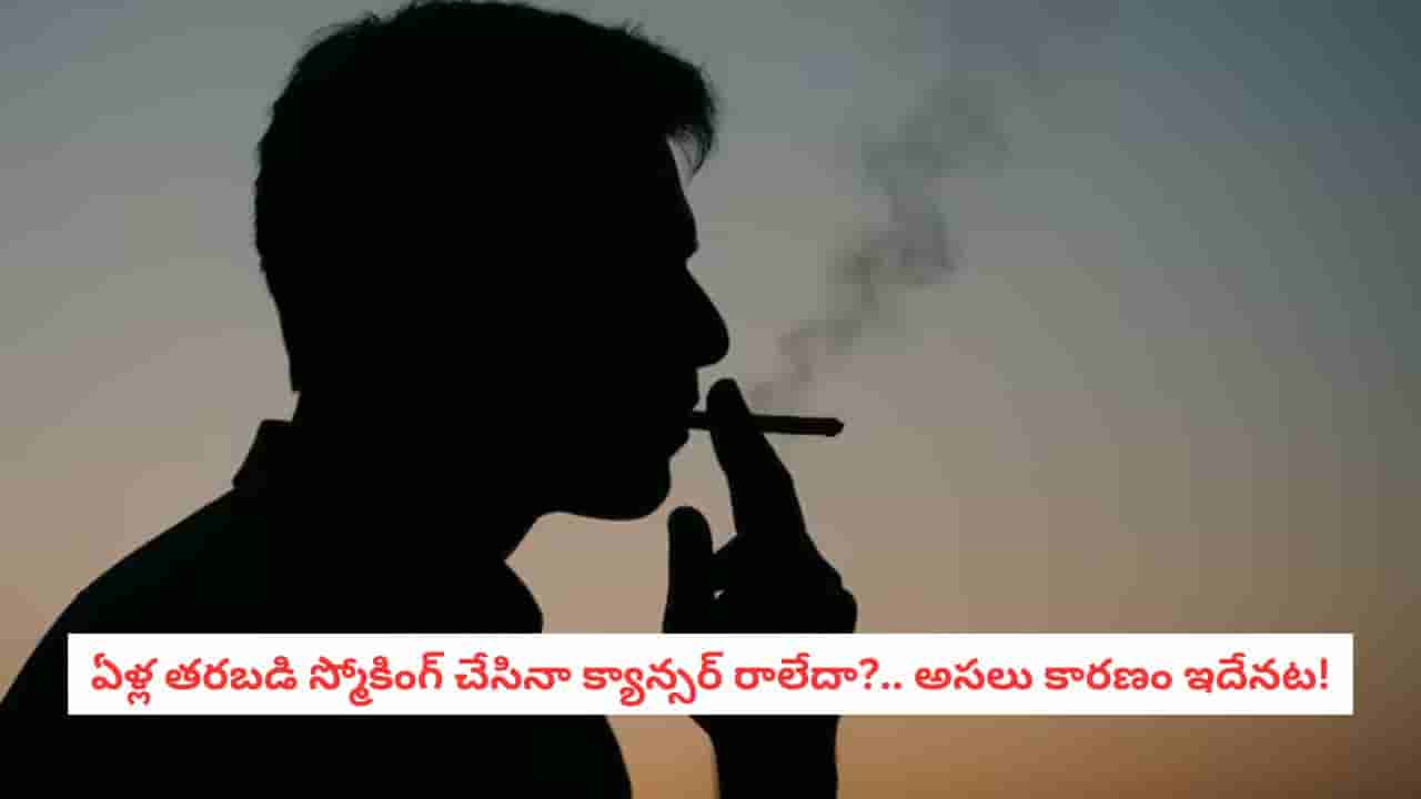 Lung Cancer Risk: స్మోకర్లు అయినా కొందరికి క్యాన్సర్ రాదెందుకు?.. పొగ తాగని వారిలోనూ లంగ్ క్యాన్సర్ ఎందుకు వస్తుంది?